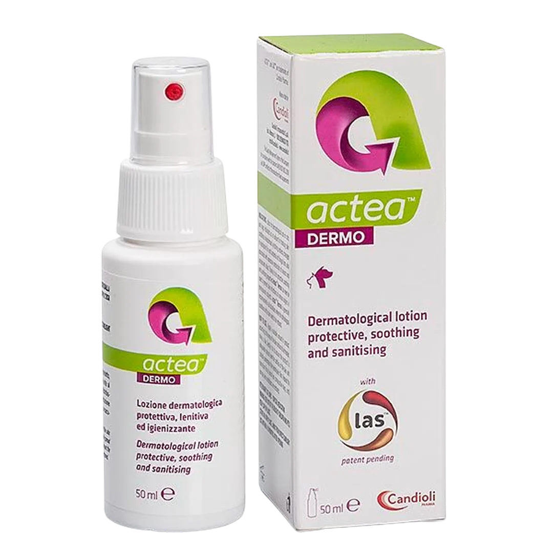لوسیون پوست سگ و گربه CANDIOLI ACTEA DERMO | درمان خارش و التهاب پوست پت