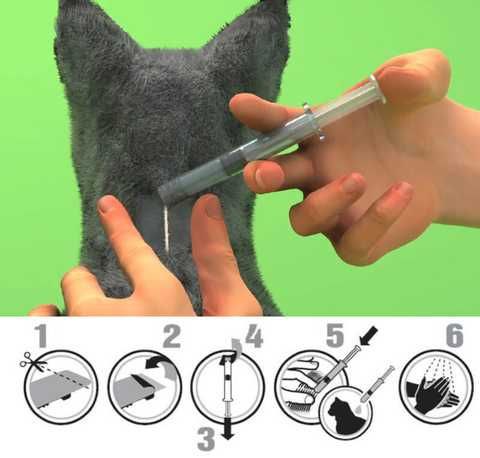 NexGard Combo 2.5-7.5kg (نکس گارد کمبو) گربه 2 NexGard Combo 2.5-7.5kg (نکس گارد کمبو) گربه