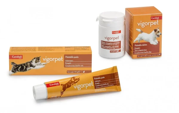 مکمل ویتامینه سگ و گربه VIGORPET برای تقویت انرژی