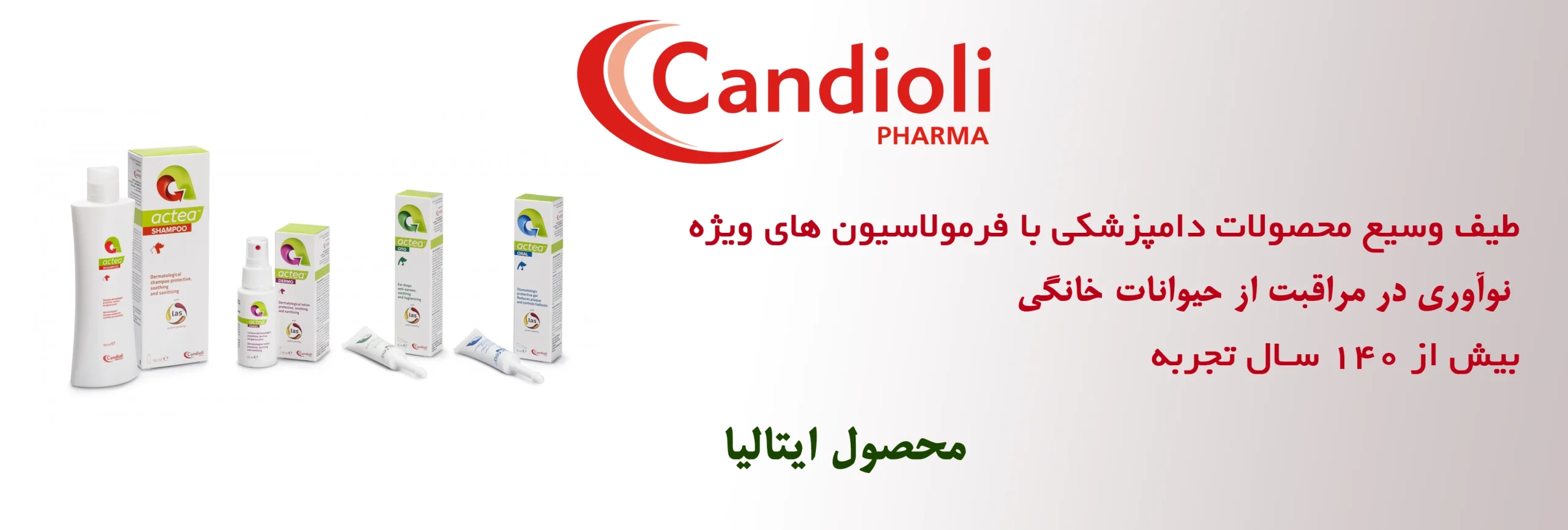 خانه|Home 70 candioli copy scaled
