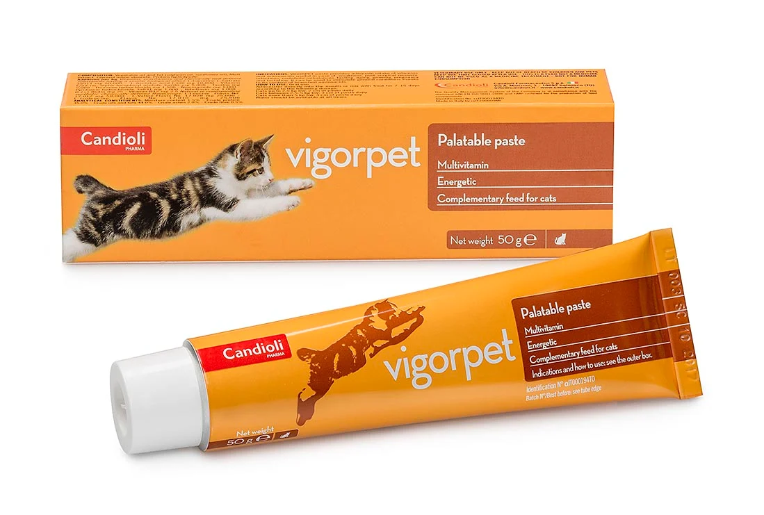 خمیر مولتی ویتامین گربه VIGORPET CANDIOLI