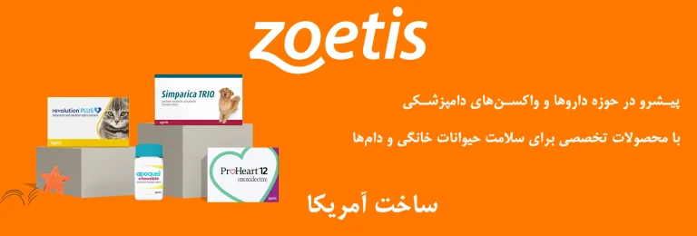 zoetis web p