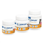 قرص جویدنی مفاصل سگ Virbac Movoflex