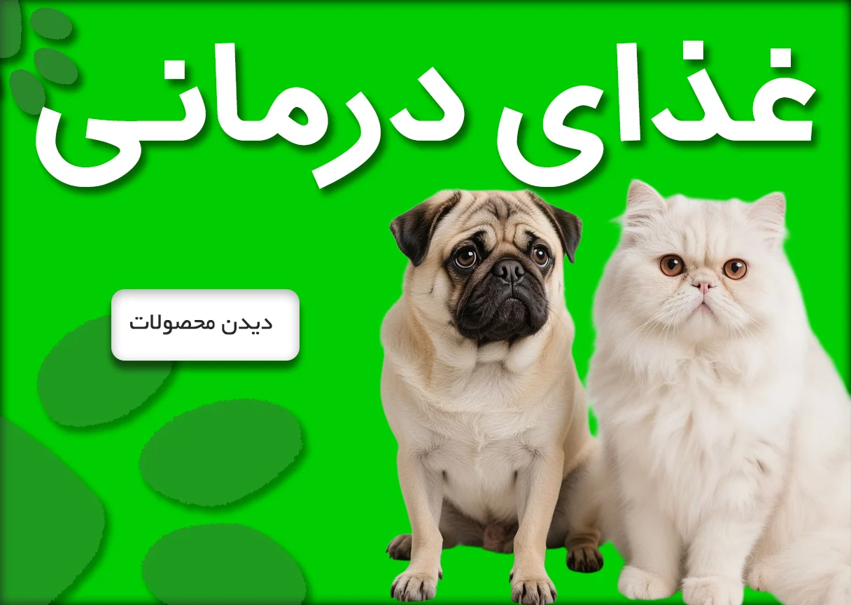 01درمانی
