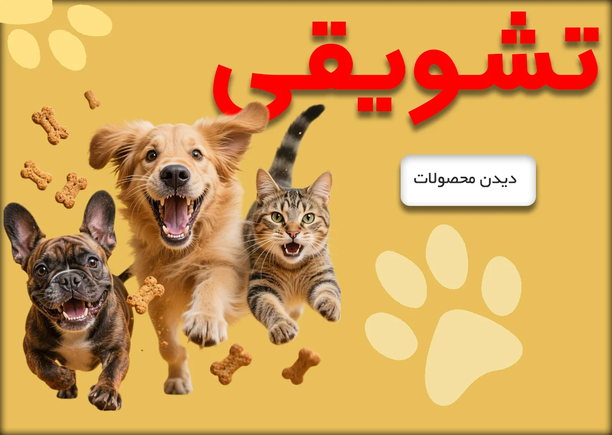 تشویقی