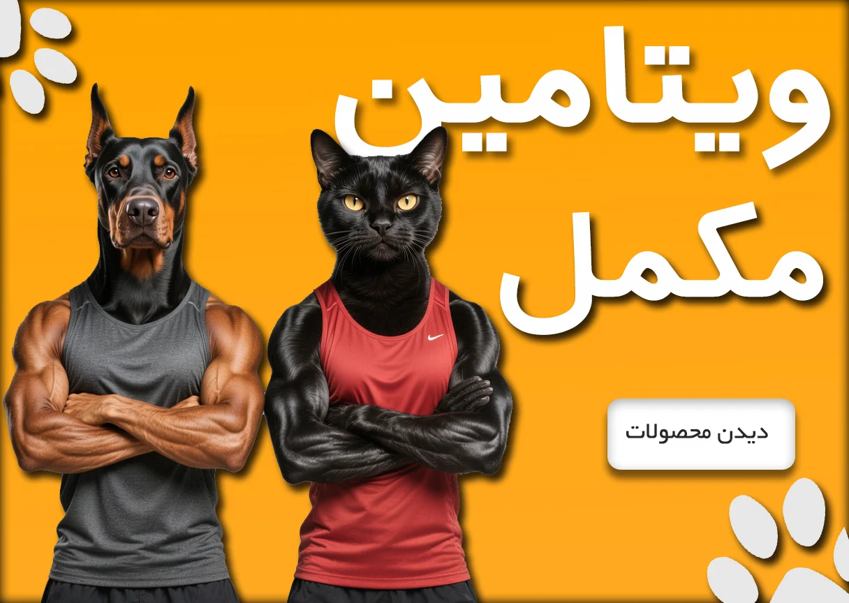 مکمل01