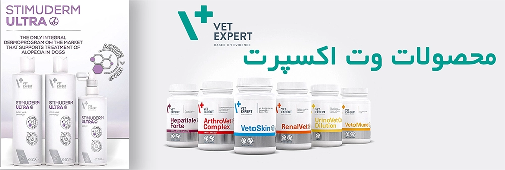 وت اکسپرت در زمینه مکمل‌های سگ و گربه، بر اساس اعتماد و توصیه‌های دامپزشکان