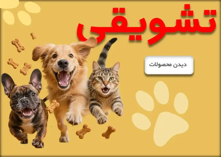 اگر به دنبال بهترین تشویقی در پت کالری هستید، جای درستی آمده‌اید! تشویقی‌ها فقط برای خوشحال کردن پت نیستند — بلکه در آموزش، تمیز نگه داشتن دندان‌ها و سلامت پوست و مو هم نقش دارند. در این بخش انواع تشویقی‌های خوشمزه، طبیعی و بدون مواد نگهدارنده را خواهید یافت؛ از استخوان‌های جویدنی گرفته تا بیسکویت‌های نرم و لذیذ. با انتخاب بهترین تشویقی در پت کالری، هم رابطه‌تان با پت‌تان صمیمی‌تر می‌شود و هم او همیشه با انگیزه و شاد خواهد بود.