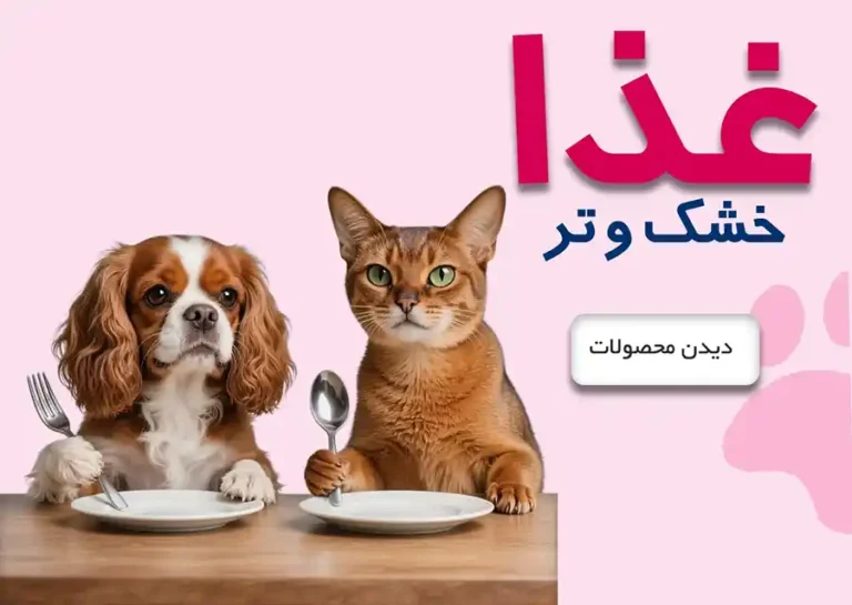 بهترین غذا در پت کالری را اینجا پیدا کنید! در پت کالری ما باور داریم تغذیه‌ی درست، کلید سلامتی و انرژی حیوانات خانگی است. در این بخش می‌توانید انواع غذای خشک و مرطوب مخصوص سگ‌ها و گربه‌ها را ببینید — از غذاهای روزانه گرفته تا رژیمی، درمانی و مخصوص نژادهای خاص. تمام محصولات از برندهای معتبر جهانی انتخاب شده‌اند تا پت شما همیشه شاداب، سالم و پرانرژی بماند. فرقی ندارد پت شما توله است یا بالغ، عقیم شده یا پرتحرک — ما بهترین غذا در پت کالری را برای نیازهای متفاوتش فراهم کرده‌ایم.